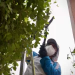 Un Chone más bonito: Con más espacios recuperados Un Chone más bonito: Con más espacios recuperados