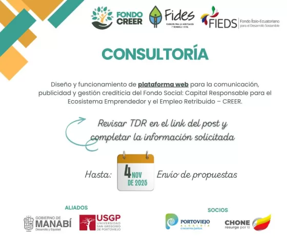 Consultoría: Diseño y Funcionamiento de Plataforma Web