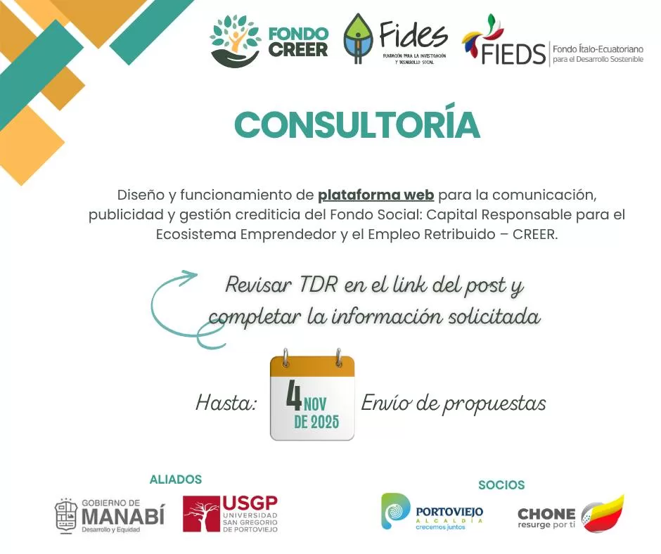Consultoría: Diseño y Funcionamiento de Plataforma Web Consultoría: Diseño y Funcionamiento de Plataforma Web