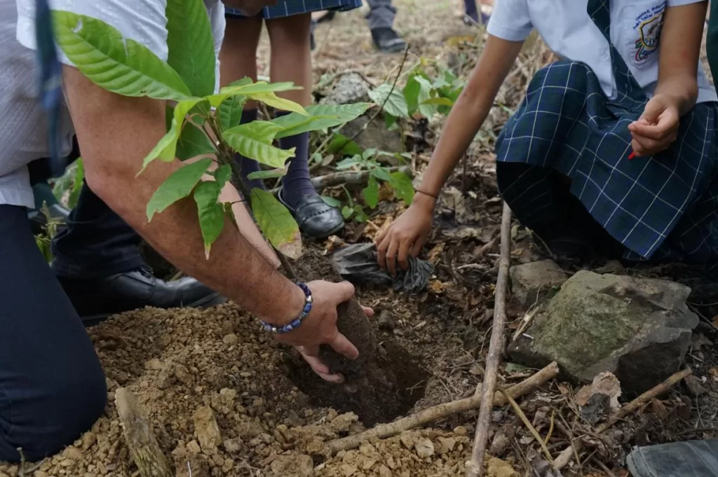 Unidad educativa de Chone impulsa emprendimiento y producción sostenible Unidad educativa de Chone impulsa emprendimiento y producción sostenible