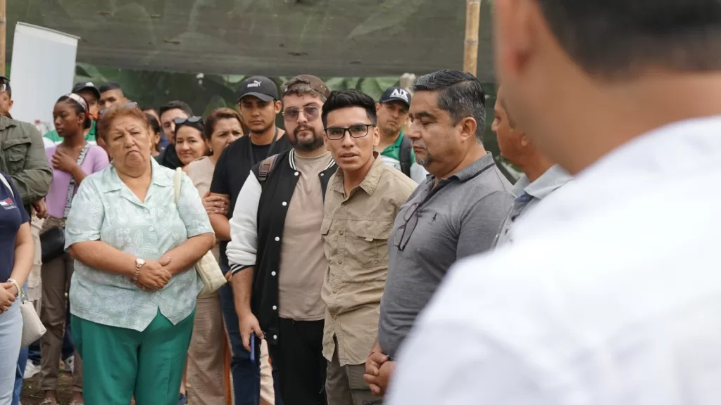 40.000 plantas de cacao impulsan la reforestación productiva en Chone